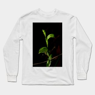 Not So Tall Greenhood Long Sleeve T-Shirt